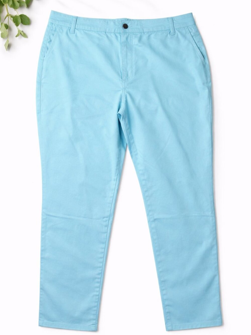 Avenue NWT Capri Pants Women’s 22 Petite Plus Size Aqua Blue Stretch Cotton